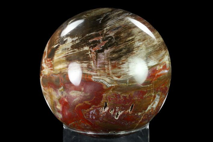 Colorful, Petrified Wood Sphere - Madagascar #135327
